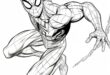 Schwing Dich In Den Farbenspaß! Spider Man Ausmalen