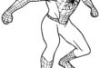 Schwing Dich In Bunte Abenteuer! ️ Spannende Spiderman Malvorlagen Zum Ausmalen