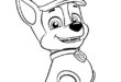 PAWtastisch Ausmalen: Entdecke Coole Paw Patrol Ausmalbilder Für Kleine Helden!